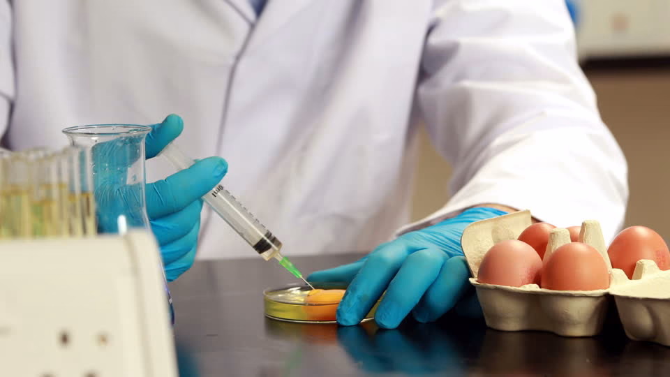 ¿Cuáles son las tareas que se llevan a cabo en el área de Bromatología?