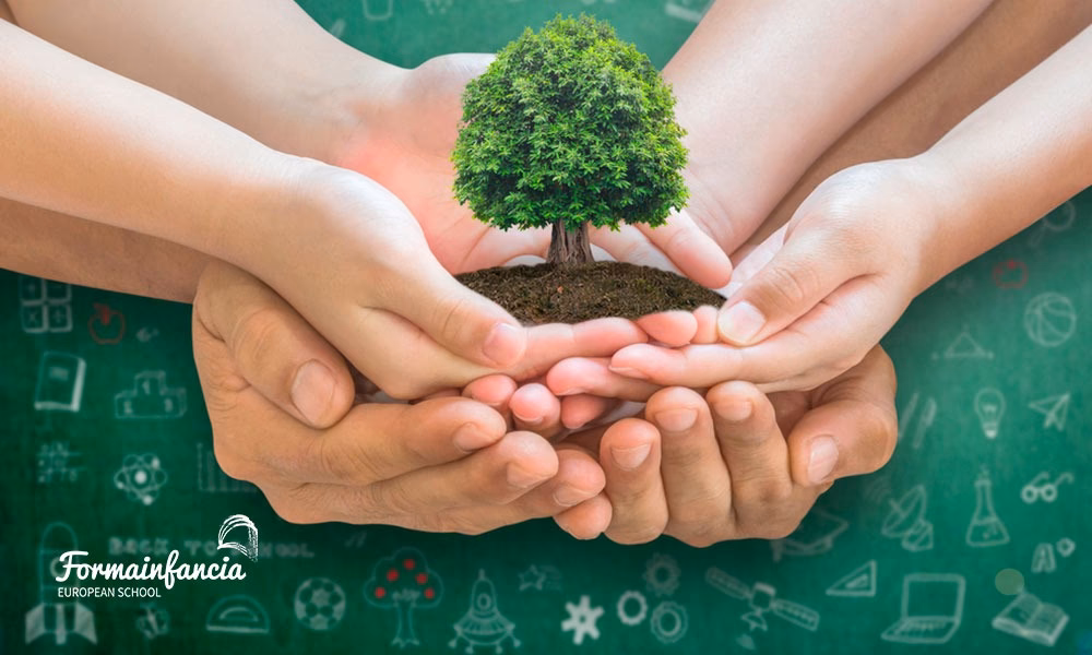 ¿Cuáles son las funciones del educador o docente ambiental?