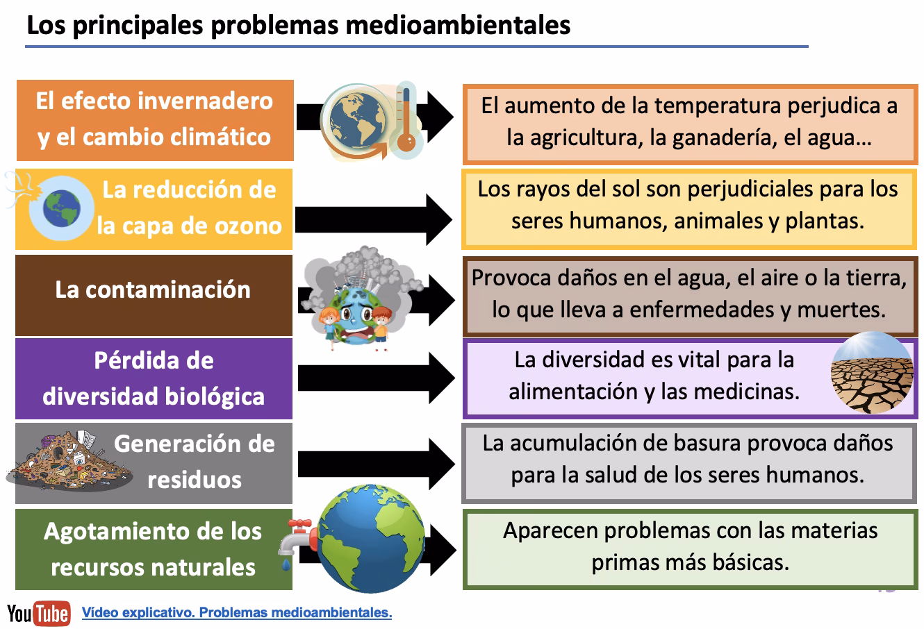 ¿Cuál es el rol del Medio Ambiente?