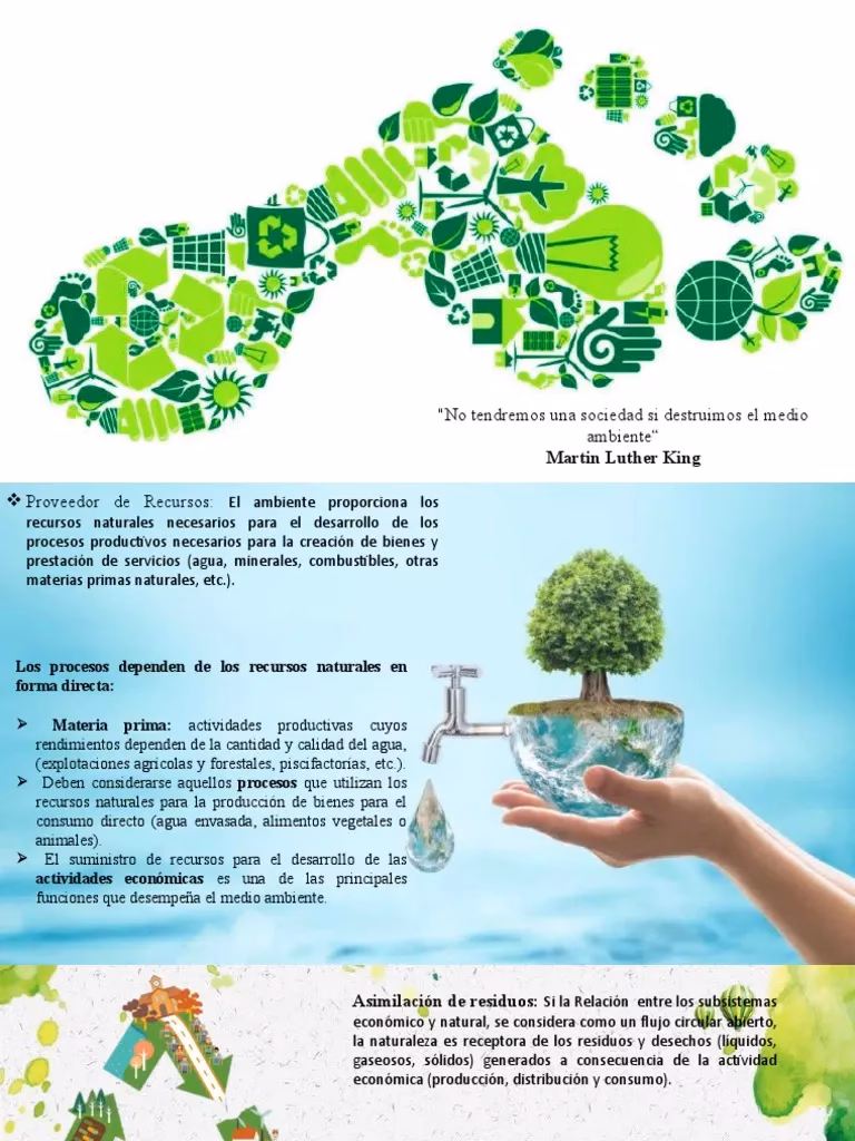 ¿Cuáles son los beneficios del Medio Ambiente?