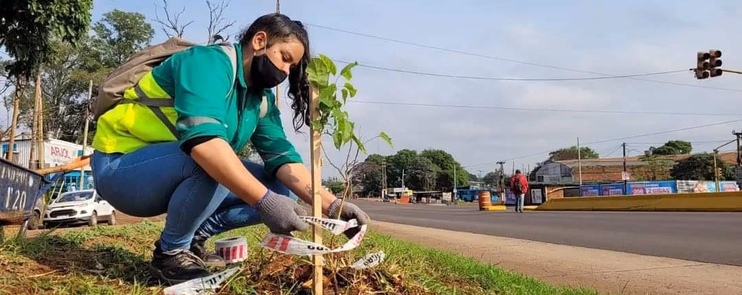 ¿Qué apoyo ofrece fundación Posadas a familias damnificadas?