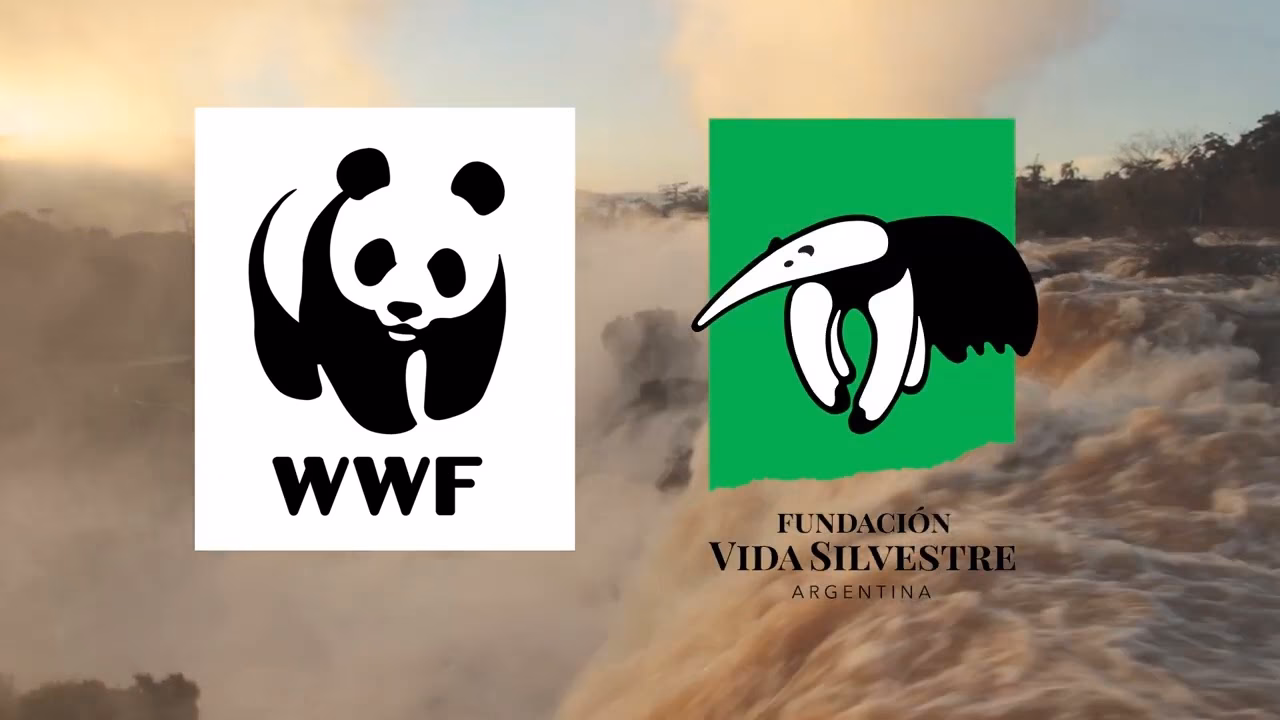 ¿Cuáles son los logros de la Fundación Vida Silvestre?