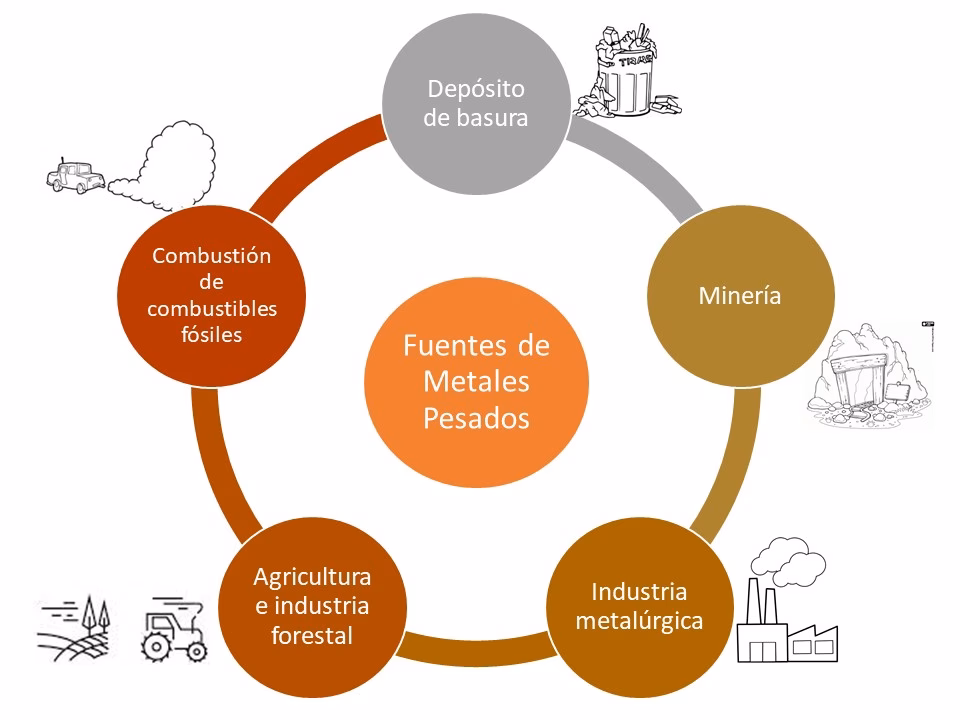 ¿Qué son los metales y metaloides?