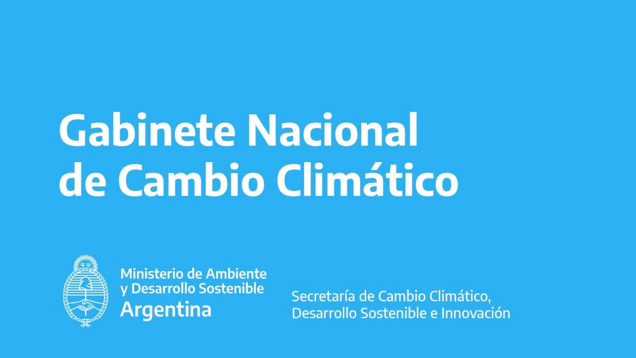 ¿Cuál es la función de las ONGs en el cambio climático?