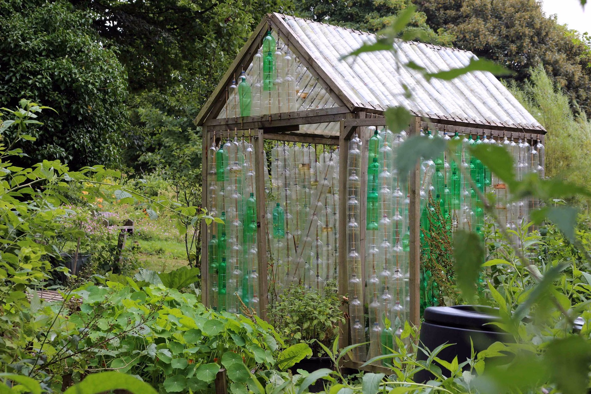 ¿Dónde se encuentra el galpón de la Floresta sur?