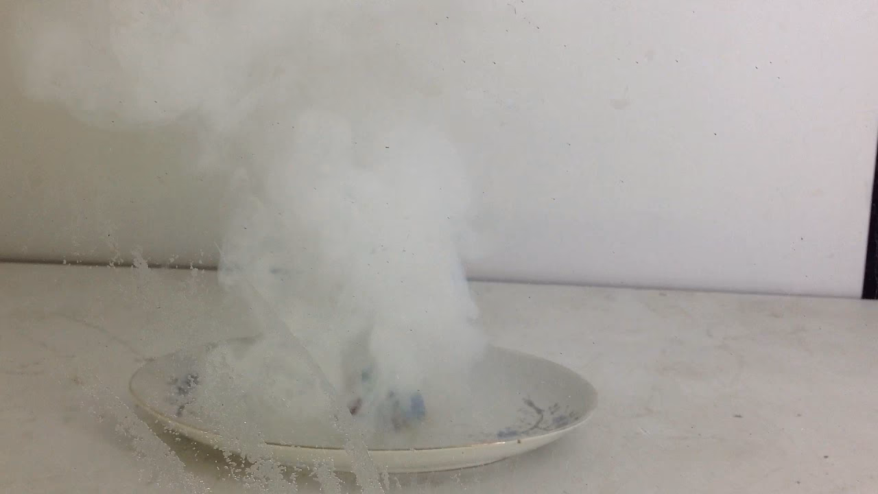 ¿Qué repercusiones tuvo la actitud de Gamexane?