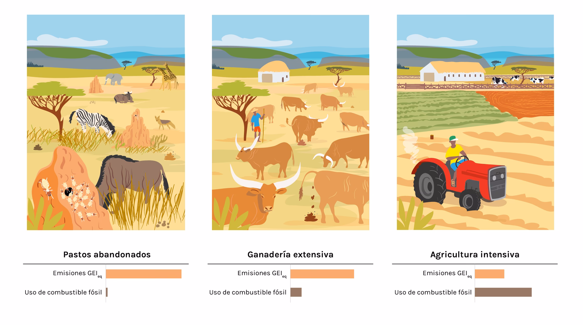 ¿Por qué la ganadería industrial no es sostenible?