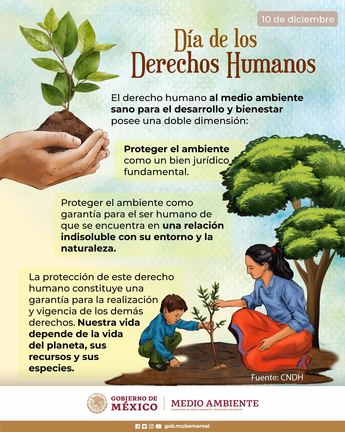 ¿Cuáles son los derechos y garantías de los habitantes?