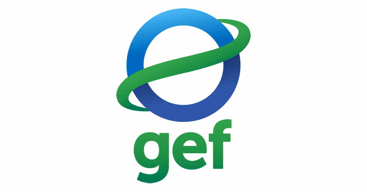 ¿Qué incluye cada país receptor en el GEF-4?