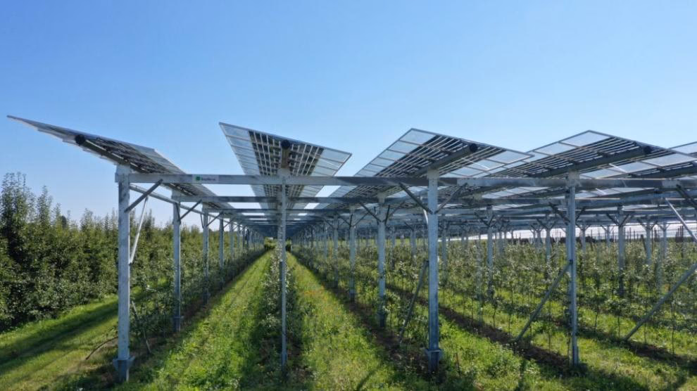¿Cuáles son los pronósticos de generación para las plantas solares fotovoltaicas y eólicas?