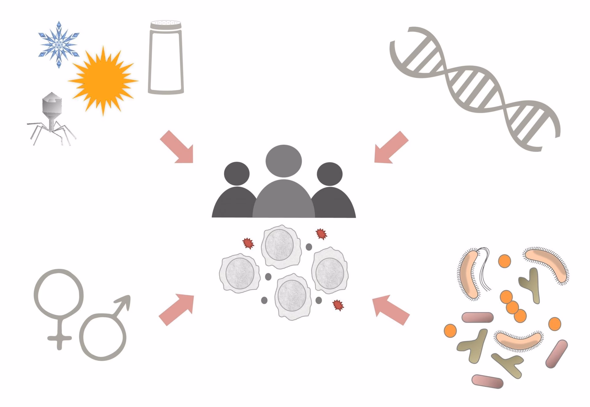 ¿Qué es la interacción genes-ambiente?