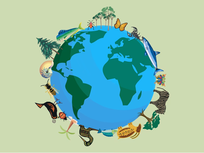 ¿Cómo influye la astronomía en el medio ambiente?