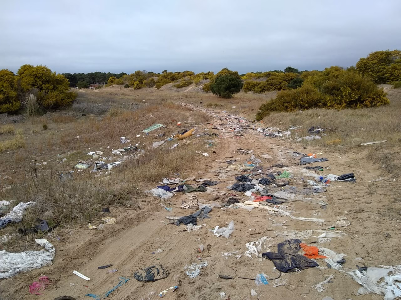 ¿Se puede contaminar la cámara Gesell?
