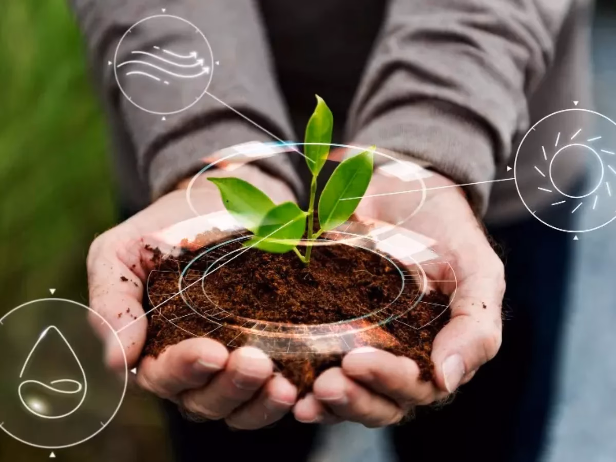 ¿Cuáles son los programas de desarrollo agropecuario sostenible?