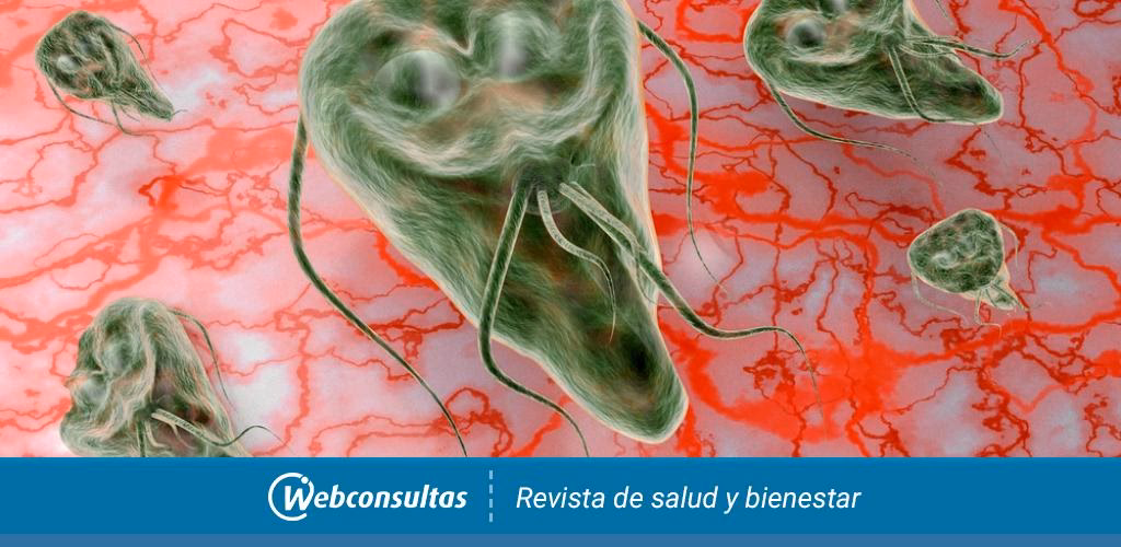 ¿Cómo tratar la giardiasis durante el embarazo?