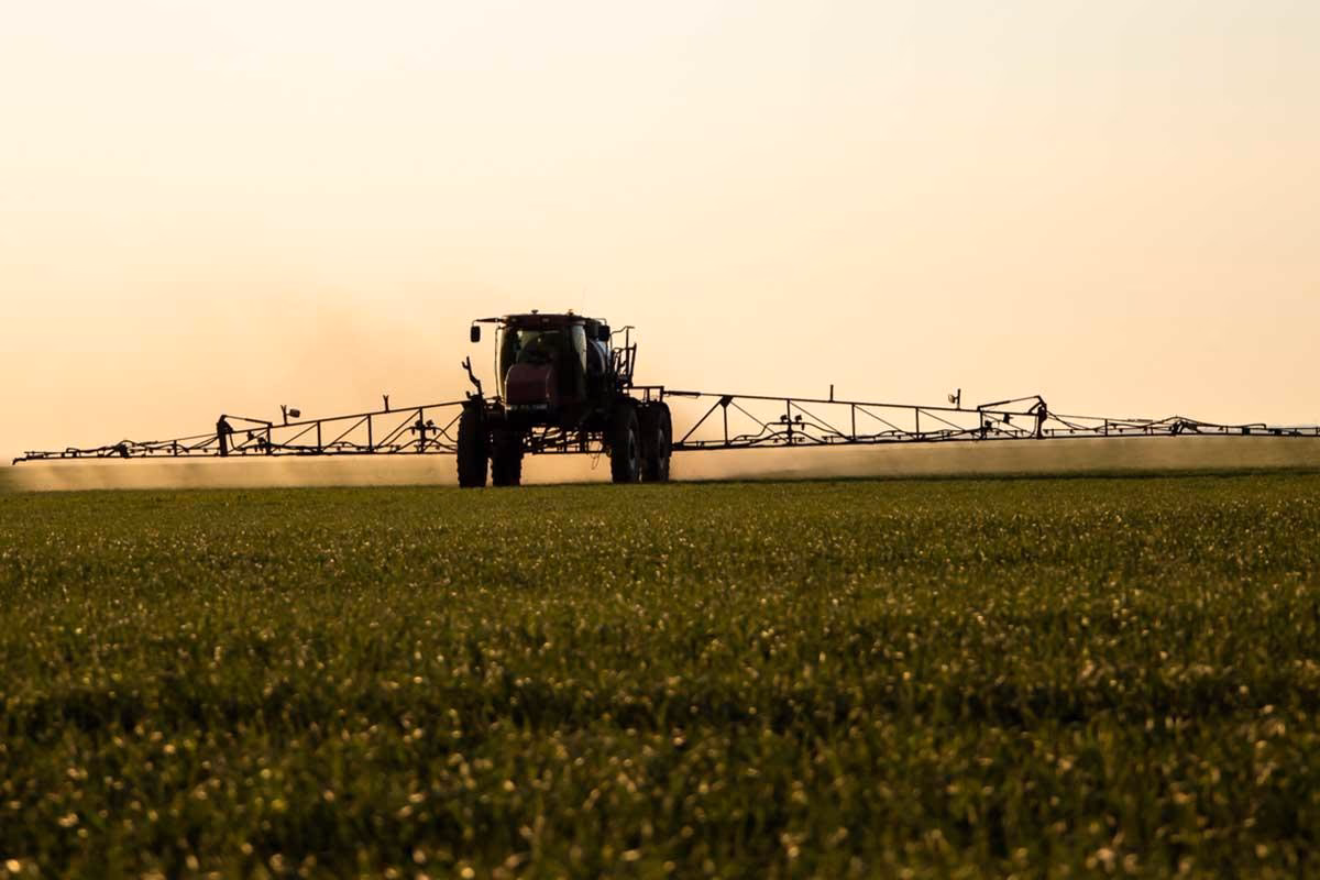 ¿Es peligroso el uso del glifosato?