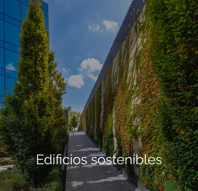 ¿Qué son las normas GMP?