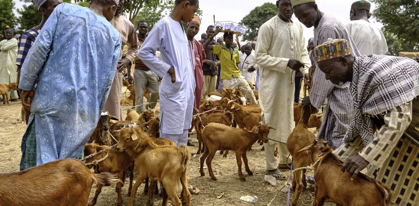 How to get rid of toxins in goats?
