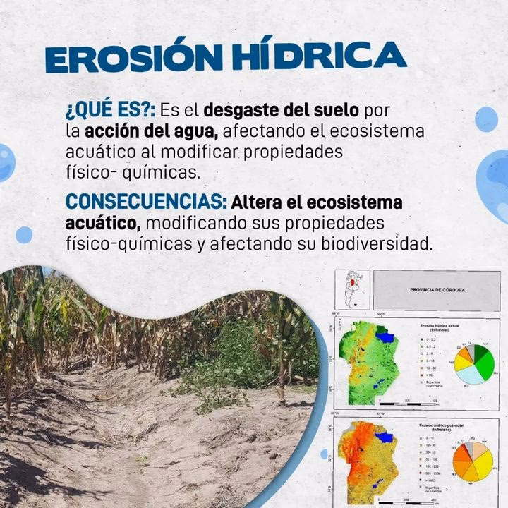 ¿Cómo afecta la crisis ambiental y sanitaria a Córdoba?