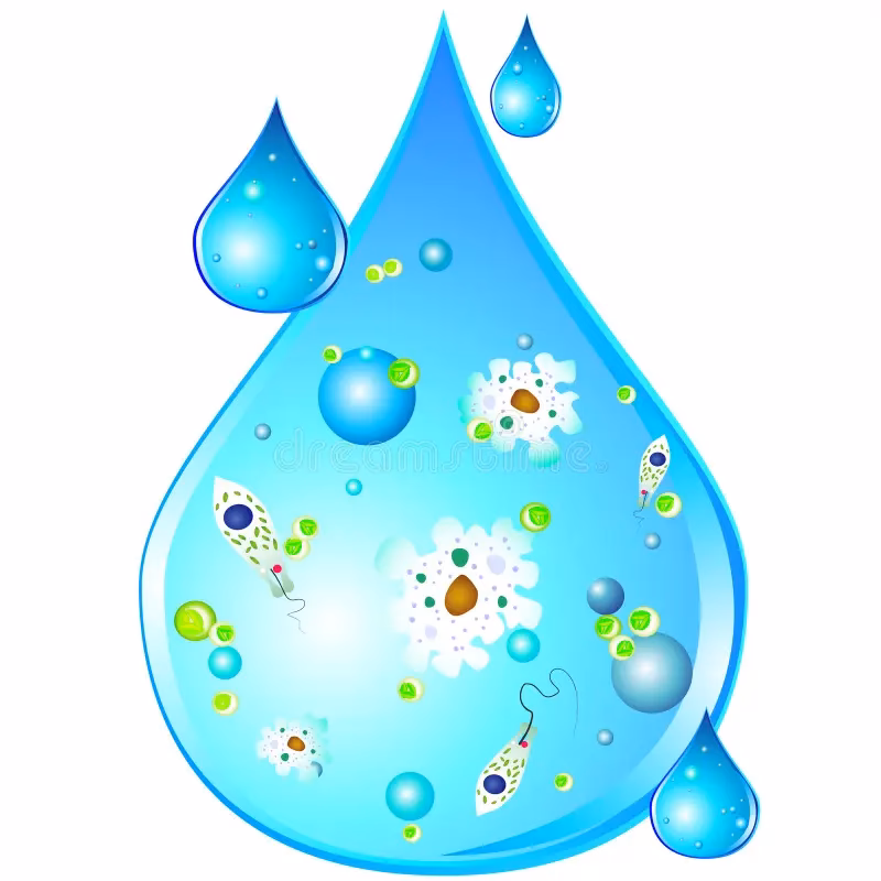 ¿Cómo agregar gotas de agua a un dibujo?