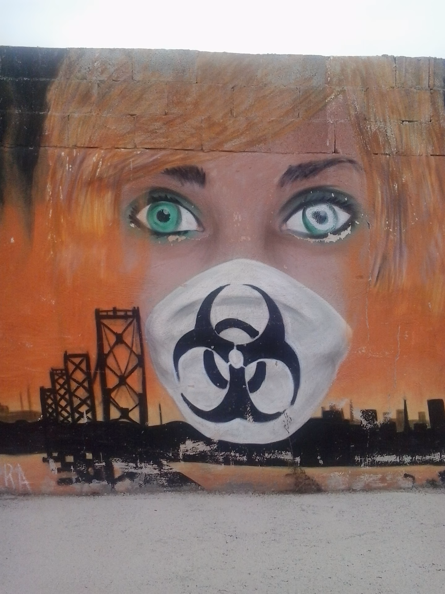 ¿Qué es la contaminación ambiental gráfica?