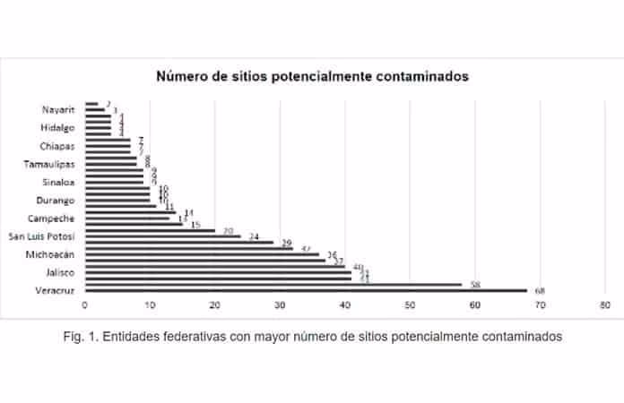 ¿Quién es el director ambiental de San Luis?