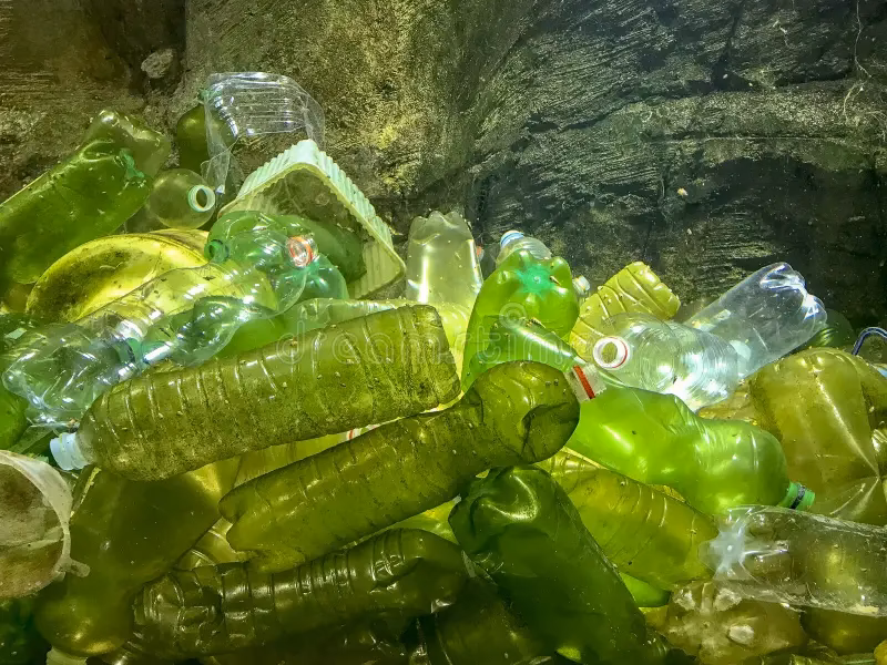 Are plastic bottles greenwashed?