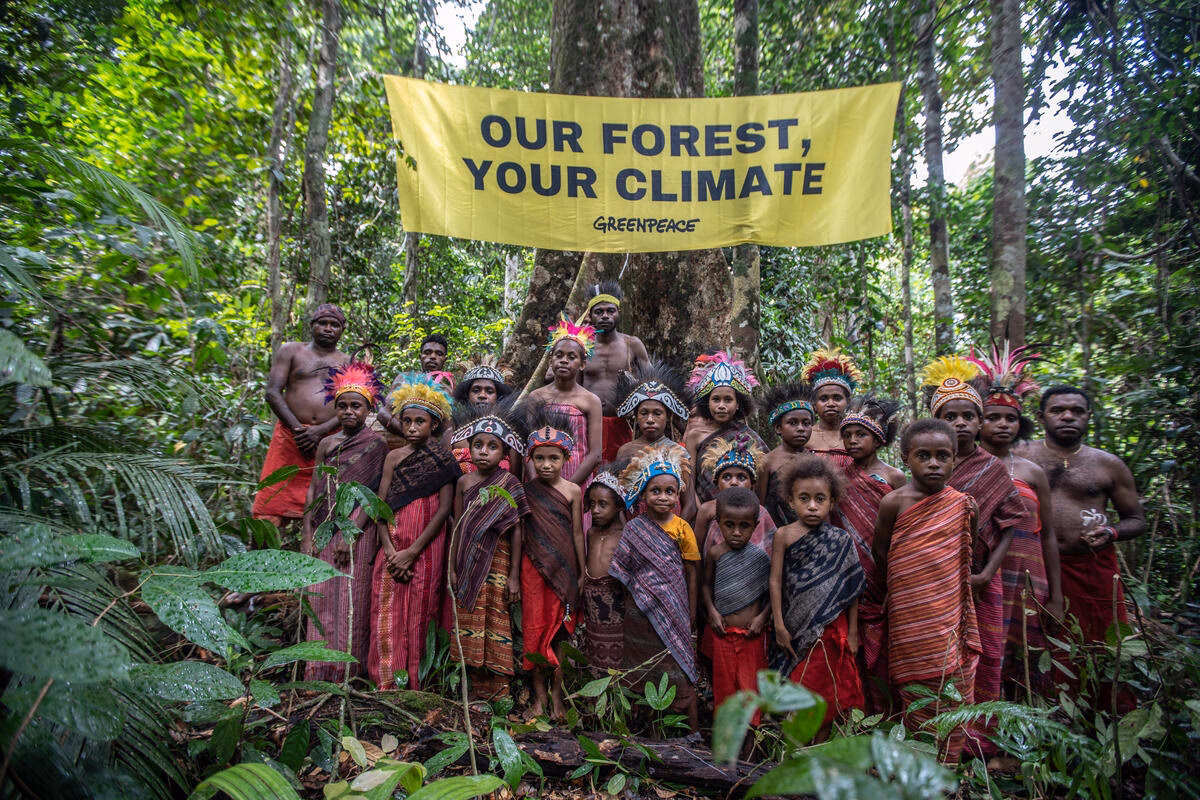 What does Greenpeace do?