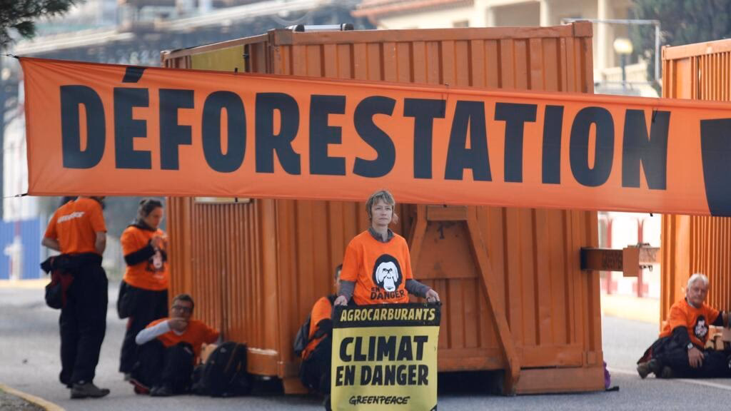 Est-ce que la déforestation est un phénomène récent ?