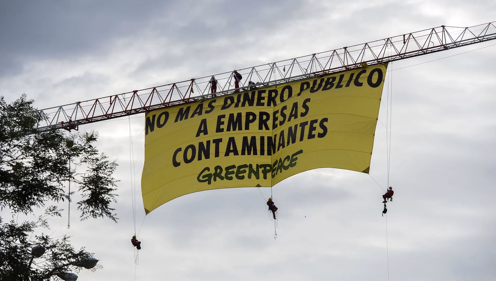 ¿Cómo contactar con Greenpeace?