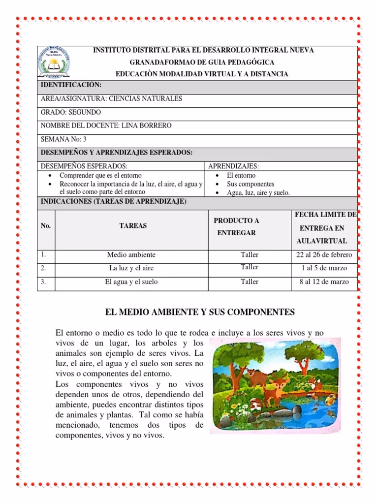 ¿Qué es un taller de Ecología?