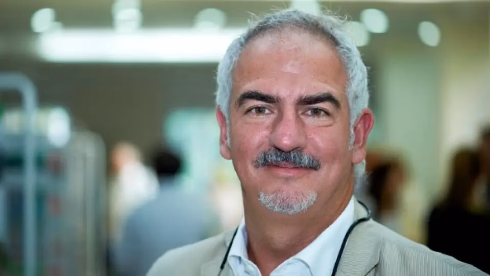 ¿Cuáles son los capítulos de la sostenibilidad urbana?