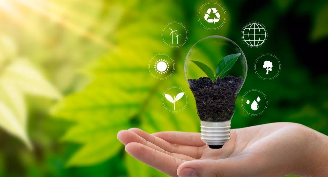 ¿Cómo se paga la tasa ambiental?