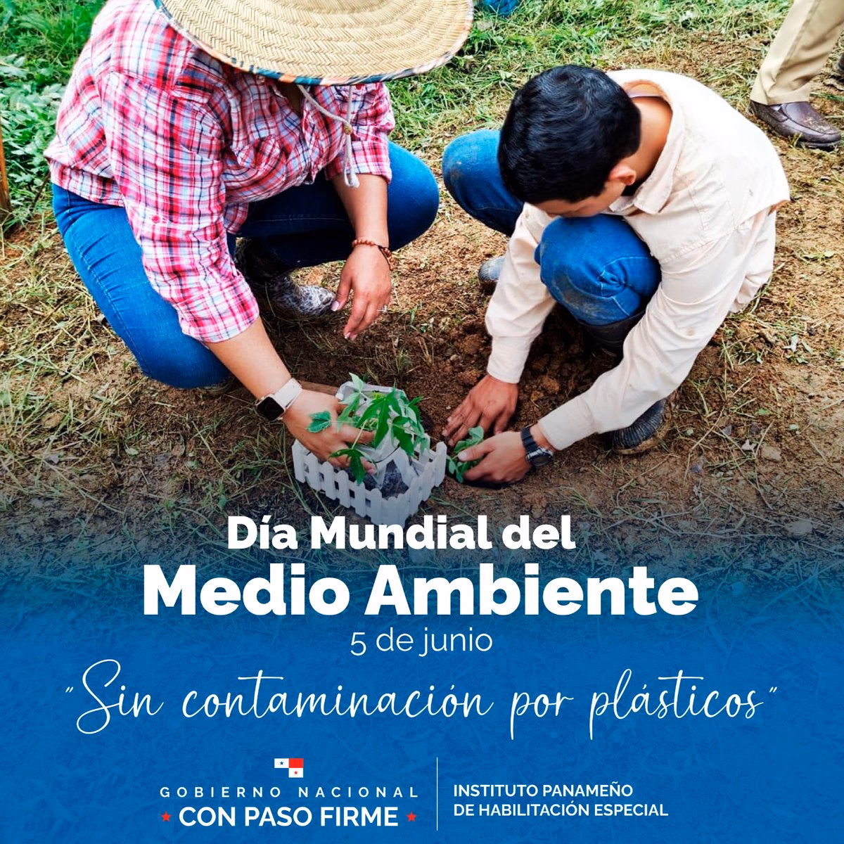 ¿Cómo se realiza la rehabilitación del Medio Ambiente?