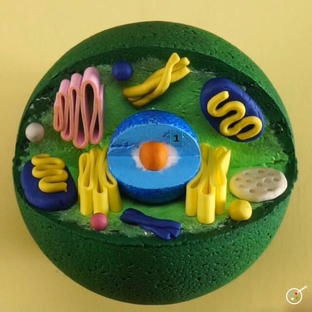 ¿Qué es hacer una célula con material reciclado?