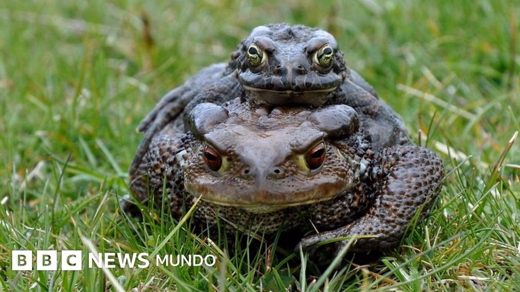 ¿Cómo afecta el cambio climático a Fiyi?