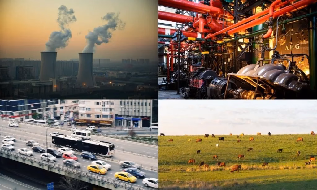 ¿Cómo actuar frente al cambio climático?