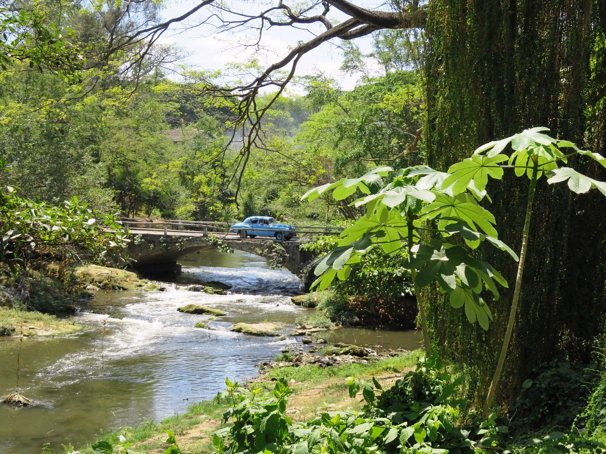 ¿Qué es Havanna y por qué es tan importante?