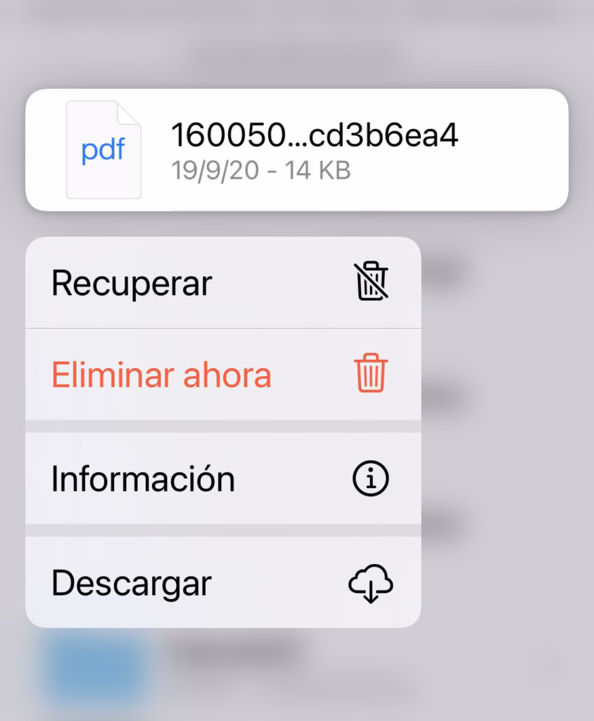 ¿Cómo funciona la Papelera de reciclaje en el iPad?