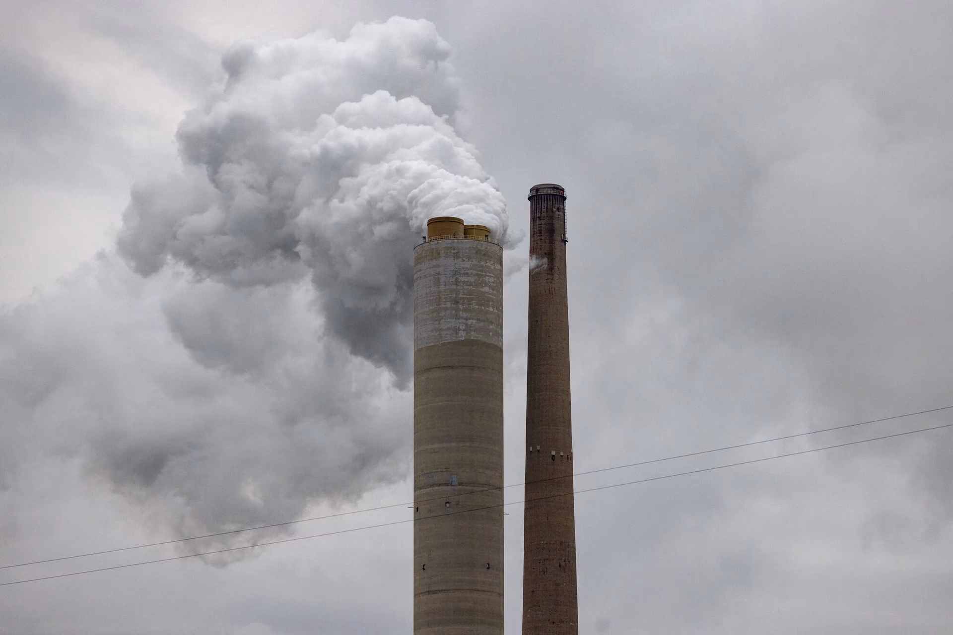 ¿Cuál es la nueva visión del medio ambiente?