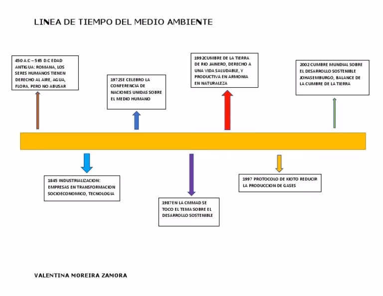 ¿Cuáles fueron las primeras preocupaciones sobre el impacto ambiental?