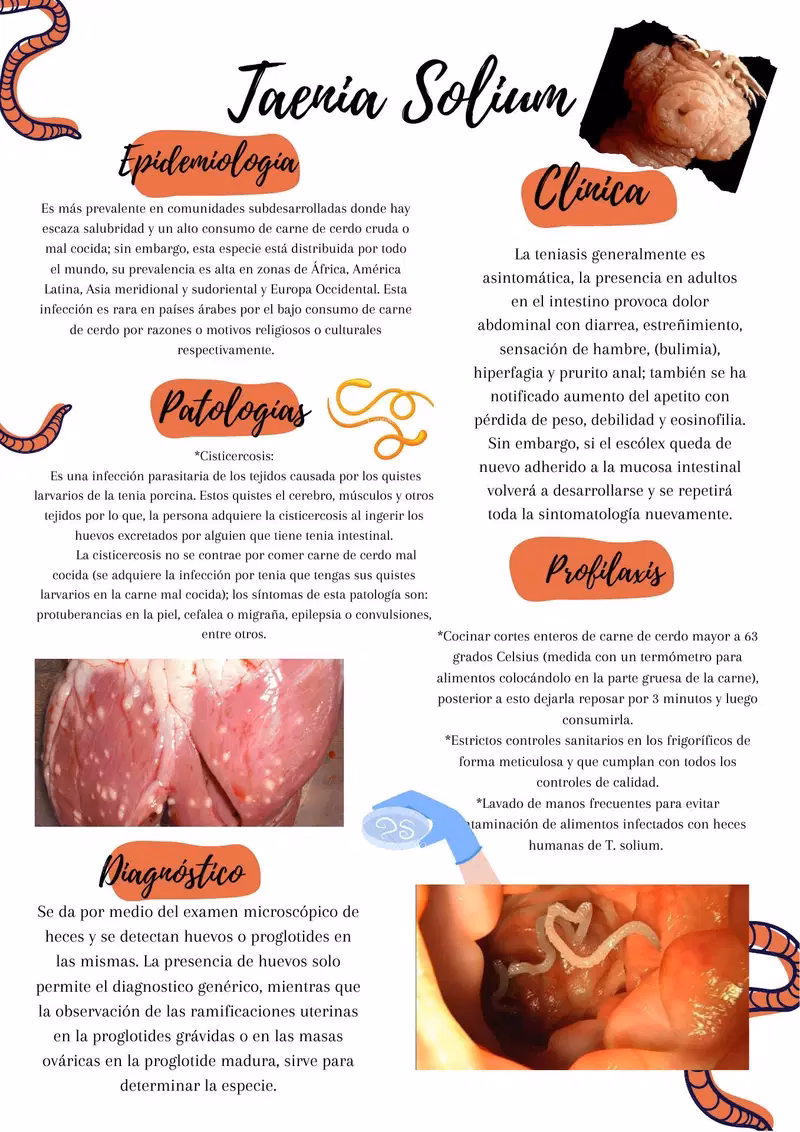 ¿Qué tan peligrosa es la carne de cerdo?