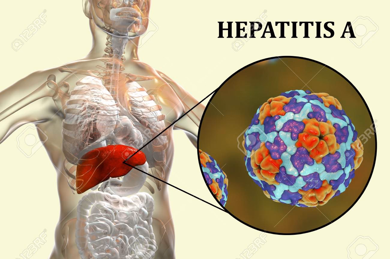¿Cómo reducir la propagación de la hepatitis?