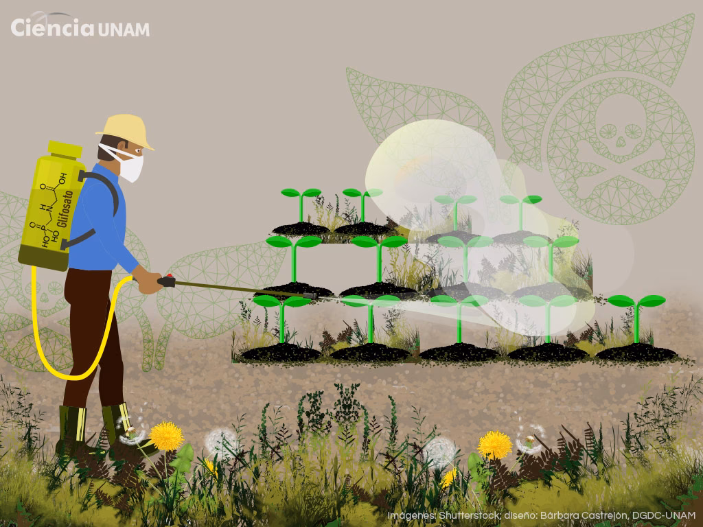 ¿Qué son los herbicidas orgánicos?