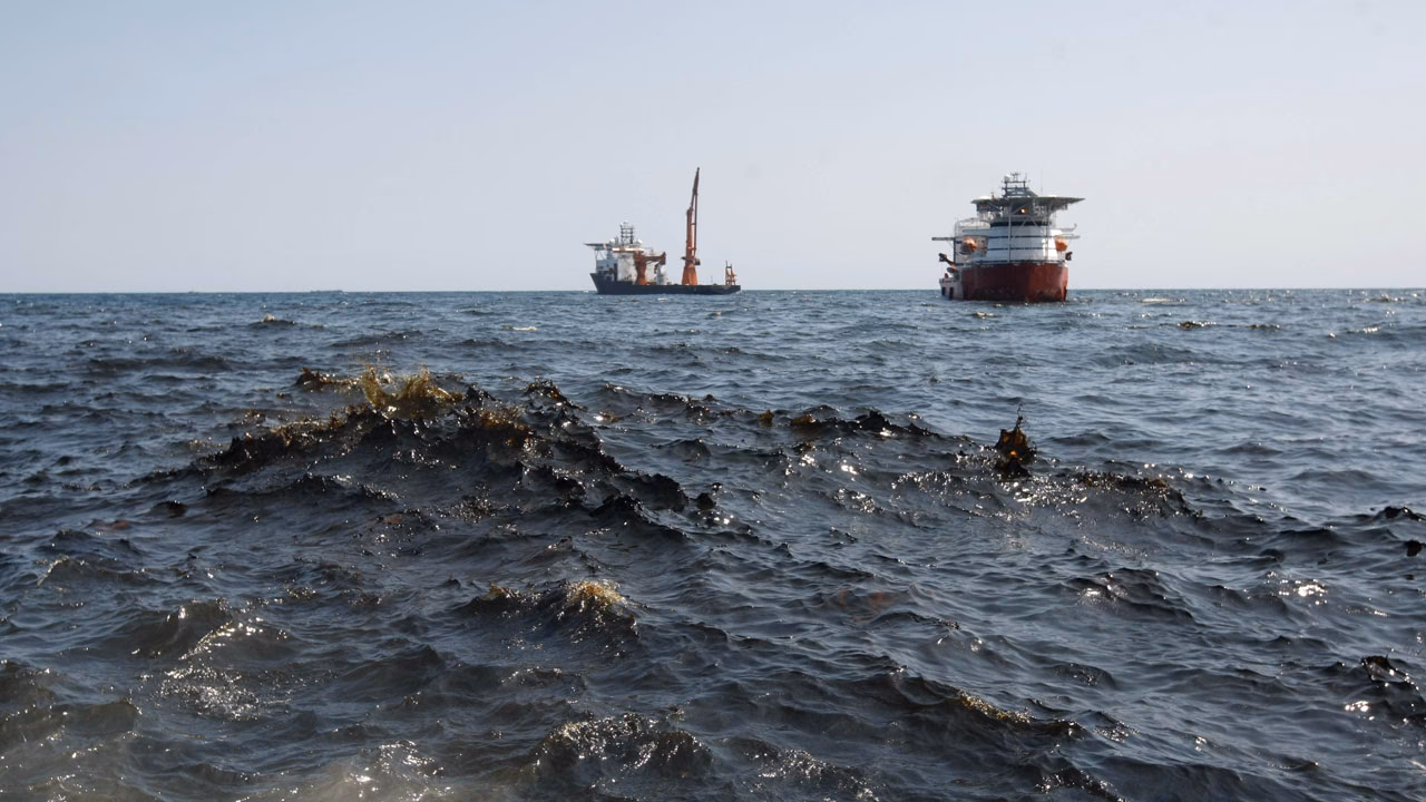 ¿Qué ocurre con los ecosistemas marinos Tras un derrame de hidrocarburos?