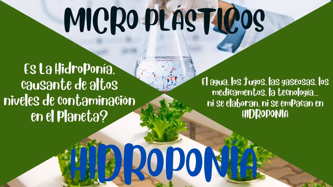 ¿Cuáles son las consecuencias de la hidroponía?