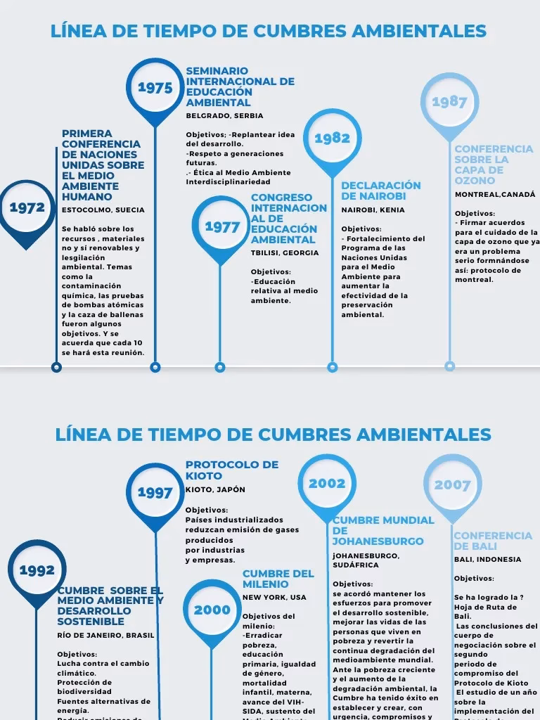 ¿Qué son las cumbres internacionales relacionadas con la protección del ambiente?