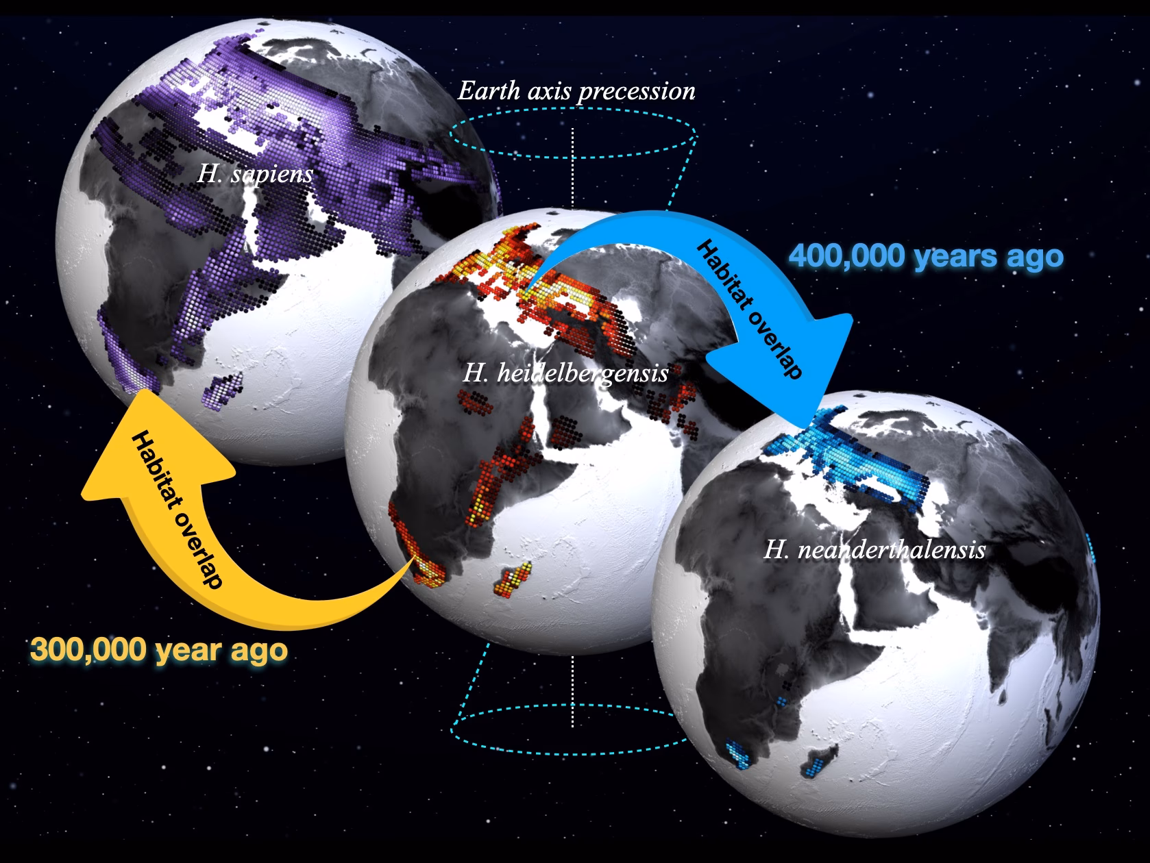 ¿Cuál es el papel de los cambios climáticos en la evolución de los Homo?