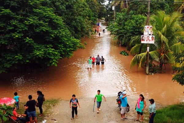 ¿Cómo se puede reducir la deforestación en Honduras?