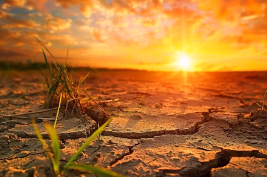 ¿Cómo ahorrar en el calentamiento global?